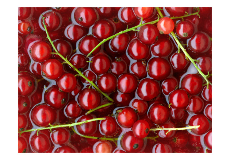 Photo Wallpaper Fruit Flavours - Red Currants with Branches Submerged in Water 59809 additionalImage 1
