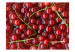 Photo Wallpaper Fruit Flavours - Red Currants with Branches Submerged in Water 59809 additionalThumb 1