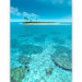 Photo Wallpaper Blue Landscape - Deserted island with palm trees against a turquoise ocean 61709 additionalThumb 5