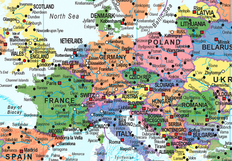 Decorative Pinboard Maps: The World of Diversity [Cork Map] 98009 additionalImage 4