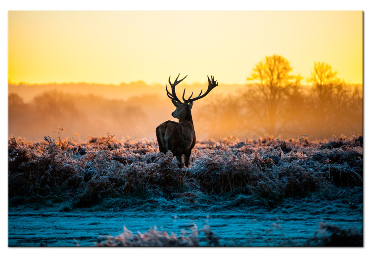 Canvas Print Winter Time (1-piece) - Deer and Sunset on Grass Field 106019
