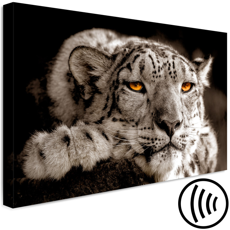 Canvas Magic Eyes (1-part) Wide - Predatory Cat in Gray Motif 108219 additionalImage 6