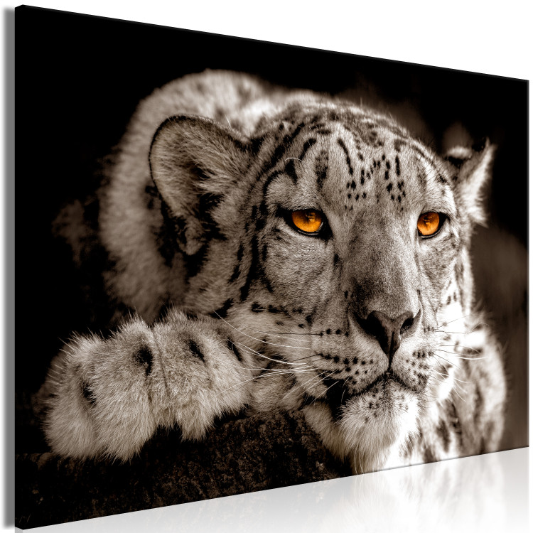 Canvas Magic Eyes (1-part) Wide - Predatory Cat in Gray Motif 108219 additionalImage 2