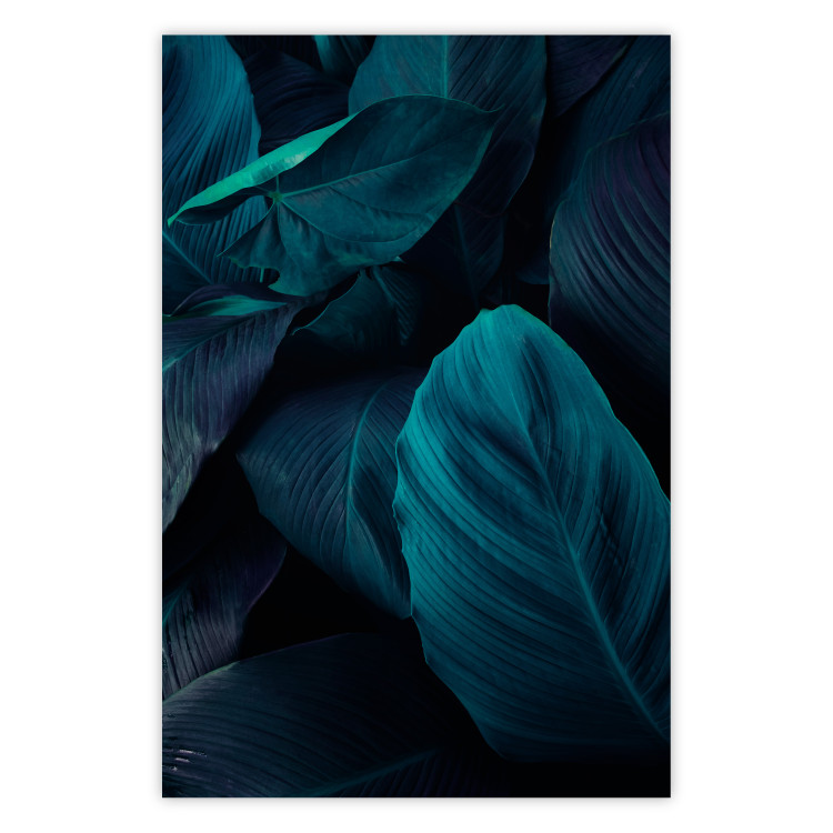 Poster Jungle night - composition with large dark green tropical leaves 115119