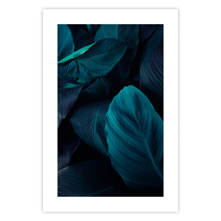 Poster Jungle night - composition with large dark green tropical leaves 115119 additionalImage 25