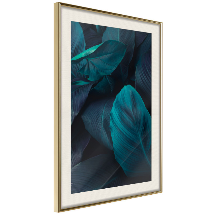 Poster Jungle night - composition with large dark green tropical leaves 115119 additionalImage 2