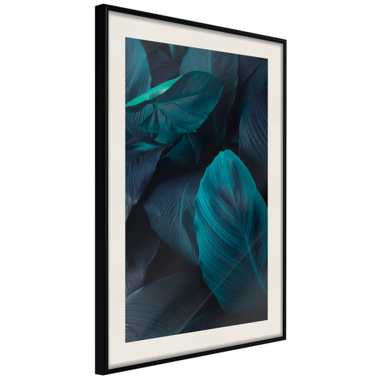 Poster Jungle night - composition with large dark green tropical leaves 115119 additionalImage 3