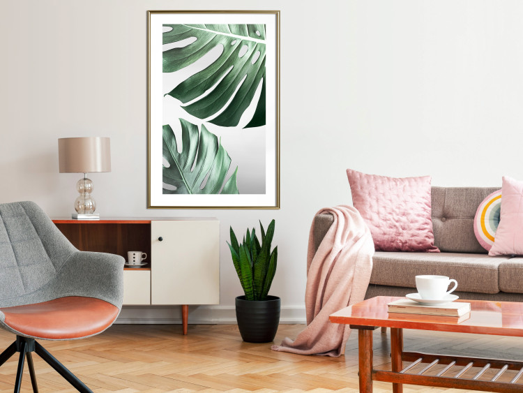 Wall Poster Monstera Leaves - composition with green tropical plants on a white background 117119 additionalImage 13