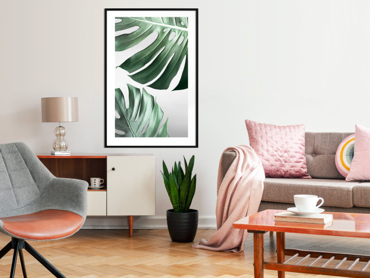 Wall Poster Monstera Leaves - composition with green tropical plants on a white background 117119 additionalImage 4