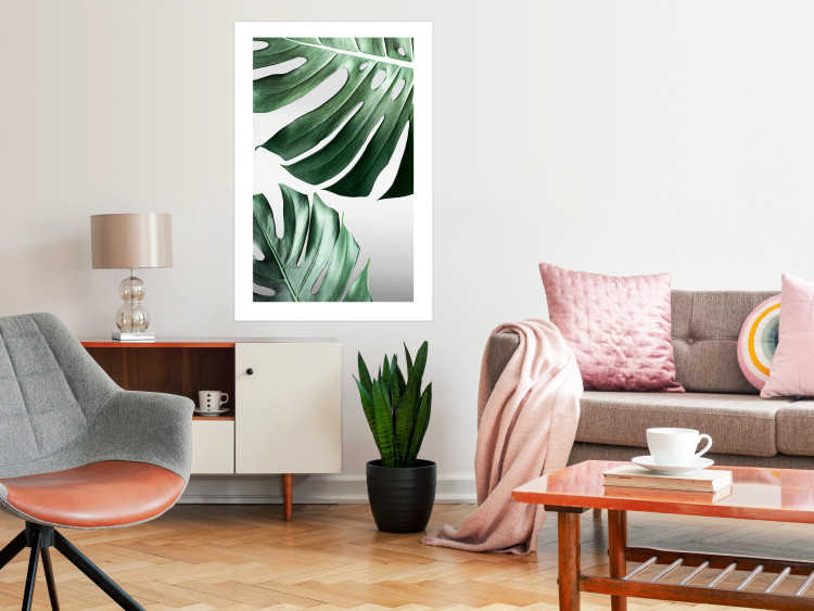 Wall Poster Monstera Leaves - composition with green tropical plants on a white background 117119 additionalImage 2