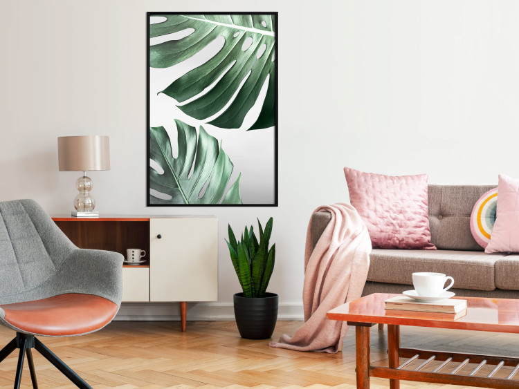 Wall Poster Monstera Leaves - composition with green tropical plants on a white background 117119 additionalImage 3