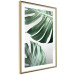 Wall Poster Monstera Leaves - composition with green tropical plants on a white background 117119 additionalThumb 6