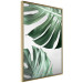 Wall Poster Monstera Leaves - composition with green tropical plants on a white background 117119 additionalThumb 12