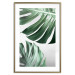 Wall Poster Monstera Leaves - composition with green tropical plants on a white background 117119 additionalThumb 14