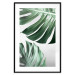 Wall Poster Monstera Leaves - composition with green tropical plants on a white background 117119 additionalThumb 15