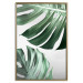Wall Poster Monstera Leaves - composition with green tropical plants on a white background 117119 additionalThumb 16