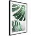 Wall Poster Monstera Leaves - composition with green tropical plants on a white background 117119 additionalThumb 11