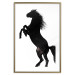 Wall Poster Horse Dance - black and white composition with the silhouette of a standing horse 118919 additionalThumb 16