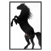 Wall Poster Horse Dance - black and white composition with the silhouette of a standing horse 118919 additionalThumb 24
