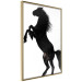 Wall Poster Horse Dance - black and white composition with the silhouette of a standing horse 118919 additionalThumb 14