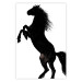 Wall Poster Horse Dance - black and white composition with the silhouette of a standing horse 118919