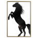 Wall Poster Horse Dance - black and white composition with the silhouette of a standing horse 118919 additionalThumb 20