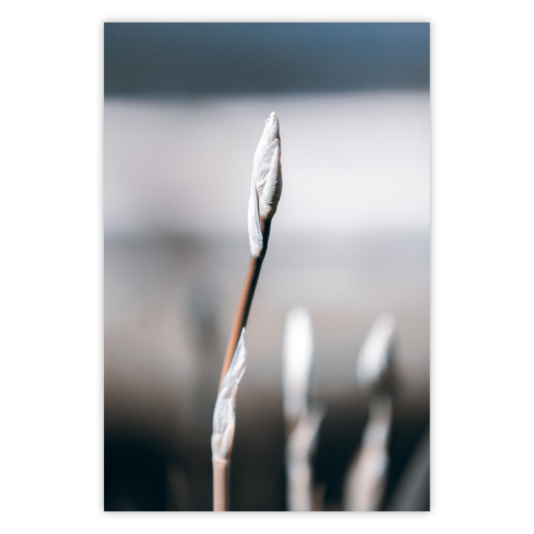 Poster Botanical Minimalism - simple composition with an unopened plant 121619