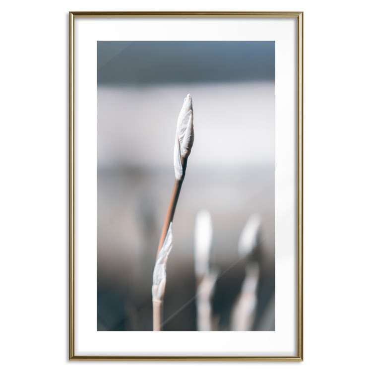 Poster Botanical Minimalism - simple composition with an unopened plant 121619 additionalImage 16