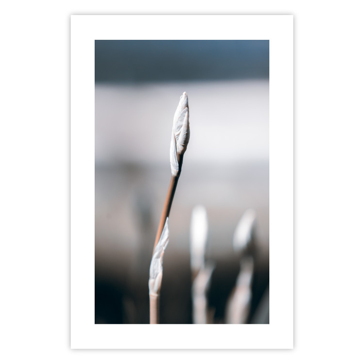 Poster Botanical Minimalism - simple composition with an unopened plant 121619 additionalImage 19