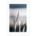 Poster Botanical Minimalism - simple composition with an unopened plant 121619 additionalThumb 25