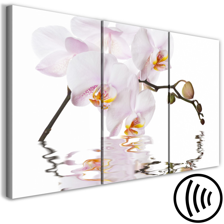 Canvas Print Pink orchid - triptych with blooming orchid flower on white background 123419 additionalImage 6