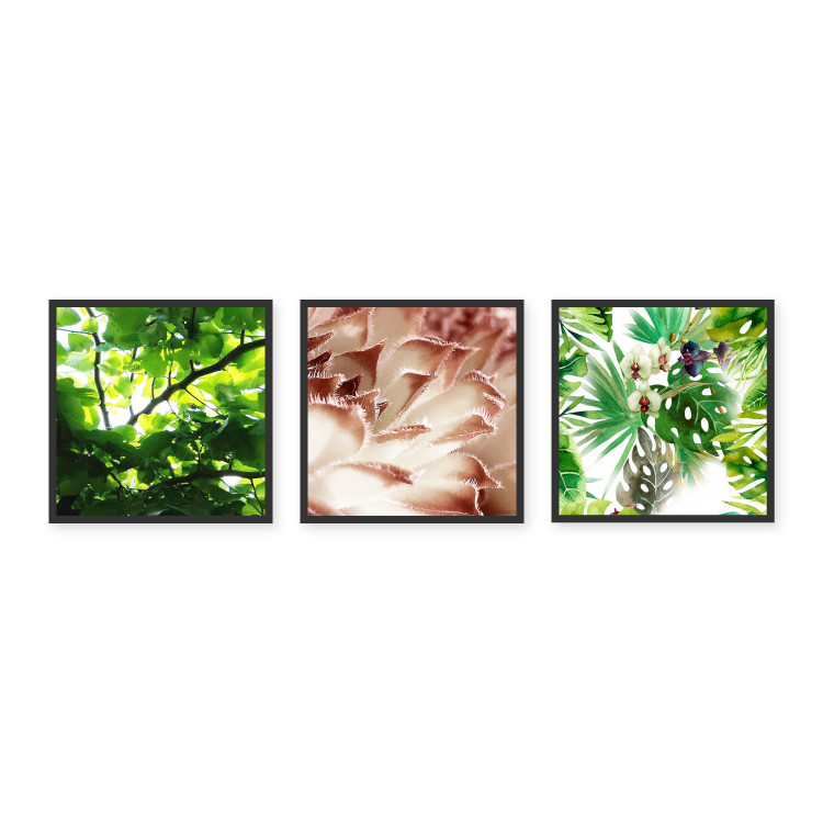 Posters collage Plant Details 124919 additionalImage 1