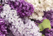 Canvas Print May Bouquet (1-part) wide - lavender flowers in vintage style 128419 additionalThumb 5