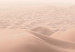 Wall Poster Sandy Space - landscape of sand dunes on brown desert 129719 additionalThumb 11