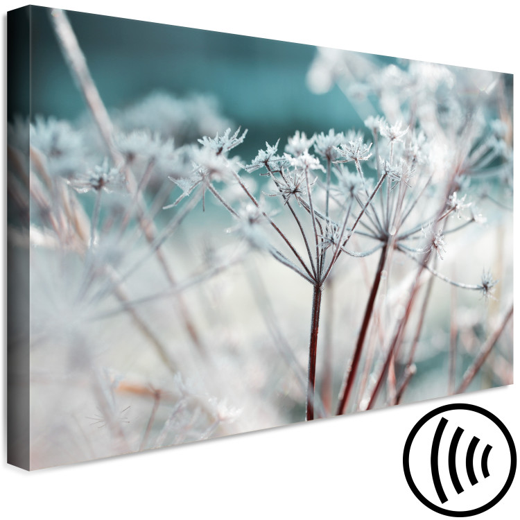 Canvas Print Autumn Hoarfrost (1-piece) Wide - frost landscape on plants 129819 additionalImage 6