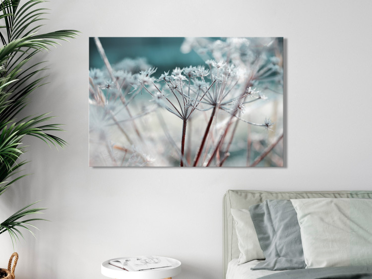 Canvas Print Autumn Hoarfrost (1-piece) Wide - frost landscape on plants 129819 additionalImage 3