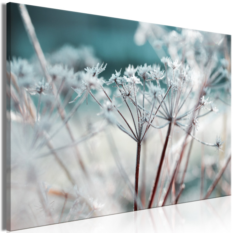 Canvas Print Autumn Hoarfrost (1-piece) Wide - frost landscape on plants 129819 additionalImage 2