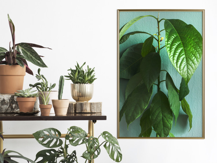 Wall Poster Avocado - tall plant with green leaves against a turquoise wall 129919 additionalImage 7