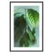 Wall Poster Avocado - tall plant with green leaves against a turquoise wall 129919 additionalThumb 15
