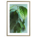 Wall Poster Avocado - tall plant with green leaves against a turquoise wall 129919 additionalThumb 16