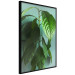 Wall Poster Avocado - tall plant with green leaves against a turquoise wall 129919 additionalThumb 13