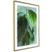 Wall Poster Avocado - tall plant with green leaves against a turquoise wall 129919 additionalThumb 7