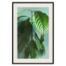 Wall Poster Avocado - tall plant with green leaves against a turquoise wall 129919 additionalThumb 19