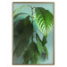Wall Poster Avocado - tall plant with green leaves against a turquoise wall 129919 additionalThumb 21