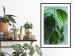 Wall Poster Avocado - tall plant with green leaves against a turquoise wall 129919 additionalThumb 23