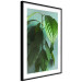 Wall Poster Avocado - tall plant with green leaves against a turquoise wall 129919 additionalThumb 6