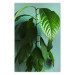Wall Poster Avocado - tall plant with green leaves against a turquoise wall 129919