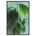 Wall Poster Avocado - tall plant with green leaves against a turquoise wall 129919 additionalThumb 16