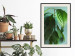 Wall Poster Avocado - tall plant with green leaves against a turquoise wall 129919 additionalThumb 24