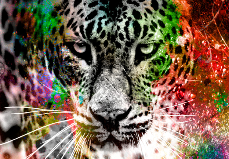 Large canvas print Colorful Cats II [Large Format] 131519 additionalImage 5